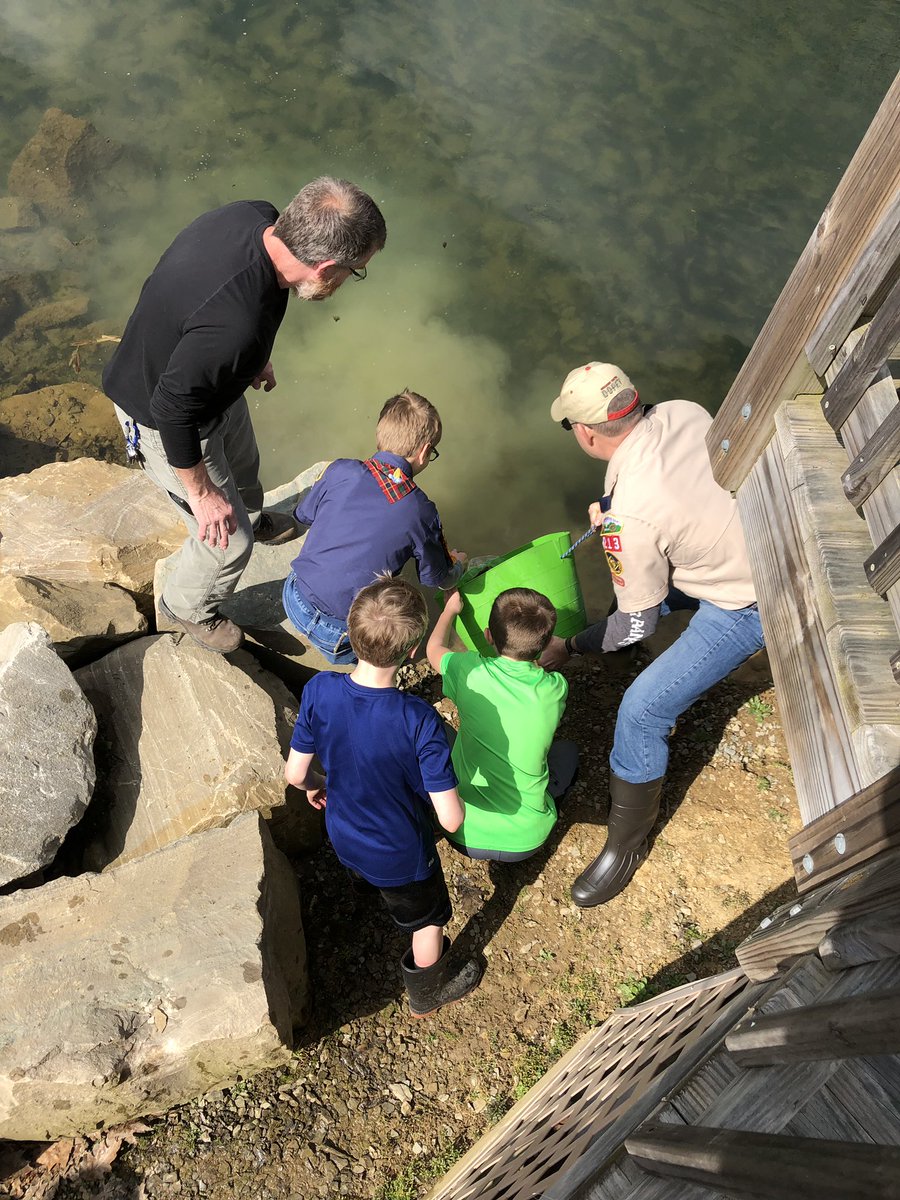 JoannaH87567988's tweet photo. Scouting For Food pick up and then trout stocking!  Getting them out in the community!  #Denleader #cubscouts https://t.co/FvgUJU8cMi