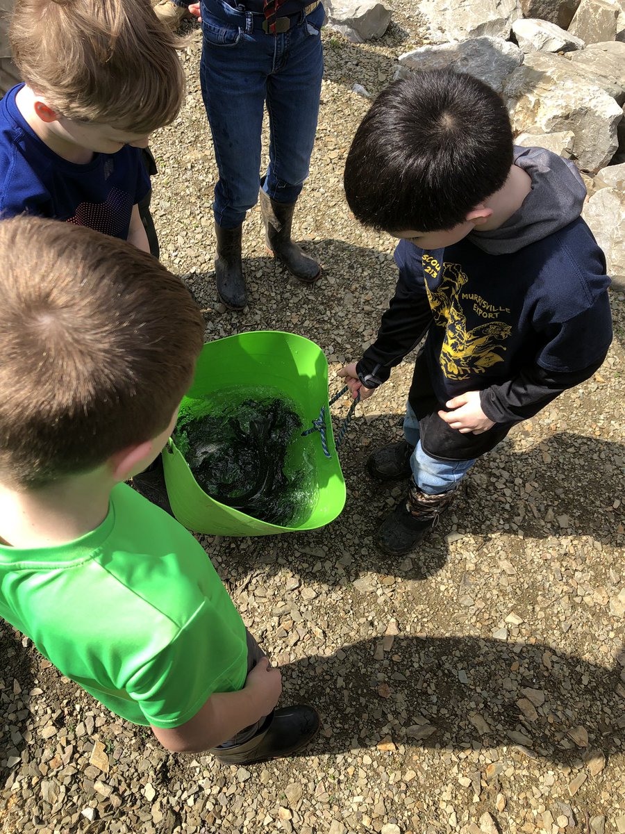 JoannaH87567988's tweet photo. Scouting For Food pick up and then trout stocking!  Getting them out in the community!  #Denleader #cubscouts https://t.co/FvgUJU8cMi