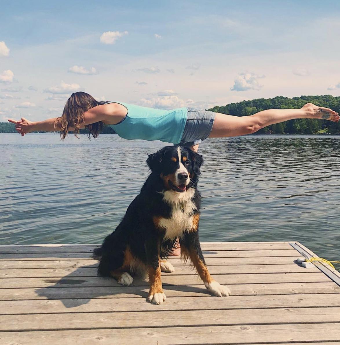 BlackLabBeer's tweet photo. Still time to reserve a spot for YOUR Yoga mat here tomorrow when #TravellingYogini hosts 1 Hour of Yoga & #BlackLabBeer provides 4 Glasses of Suds. Swing by for some #SudSalutations. PLUS #GrandmamasWaffles will be Popping-Up! #BeerYoga #BeerWaffles
https://t.co/5s3lUf1ivR https://t.co/TFIoZZWS3j