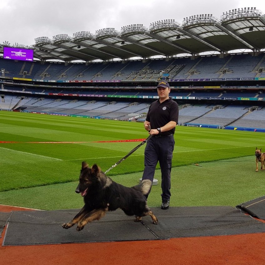 NaasCBS4Hogan's tweet photo. things that should stay away from croke park #naascbs #halacbs #hogancup https://t.co/pmc6V37Te0