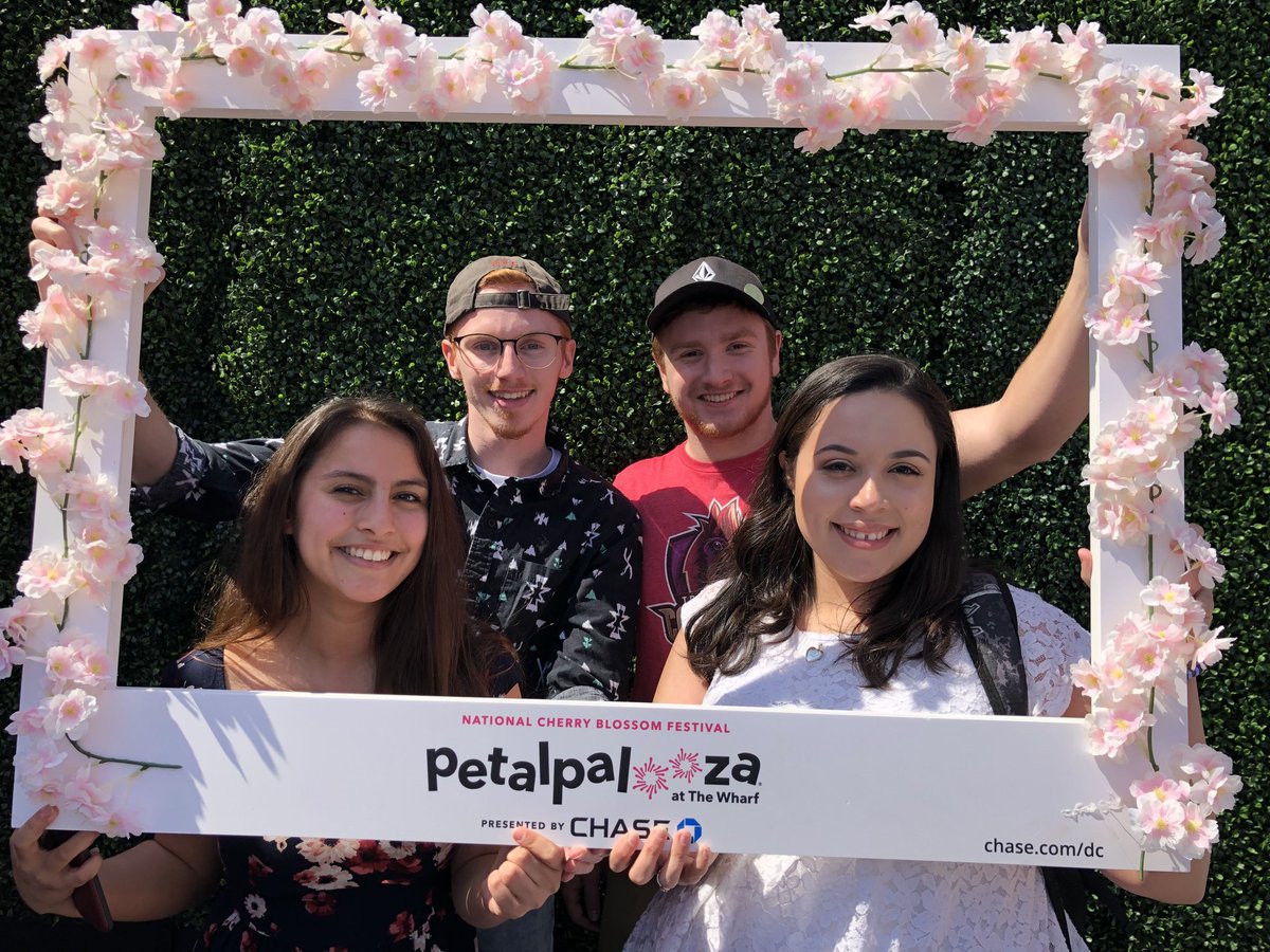 Cherry blossoms. #WHATMAKESDC