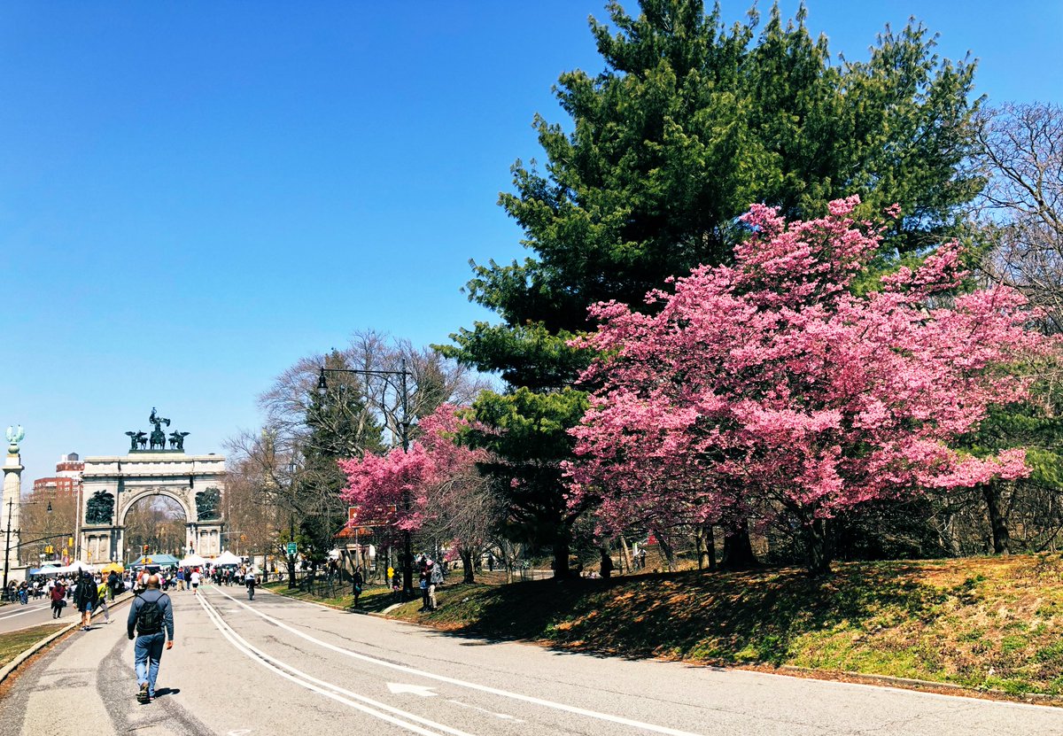 xznyc's tweet photo. Prospect Park, Central Park’s shy and laid back lil sis. Don’t under estimate her, though, she’s small but mighty. 

#thankgodforspring #brooklynlife https://t.co/PYqhuM9KhQ