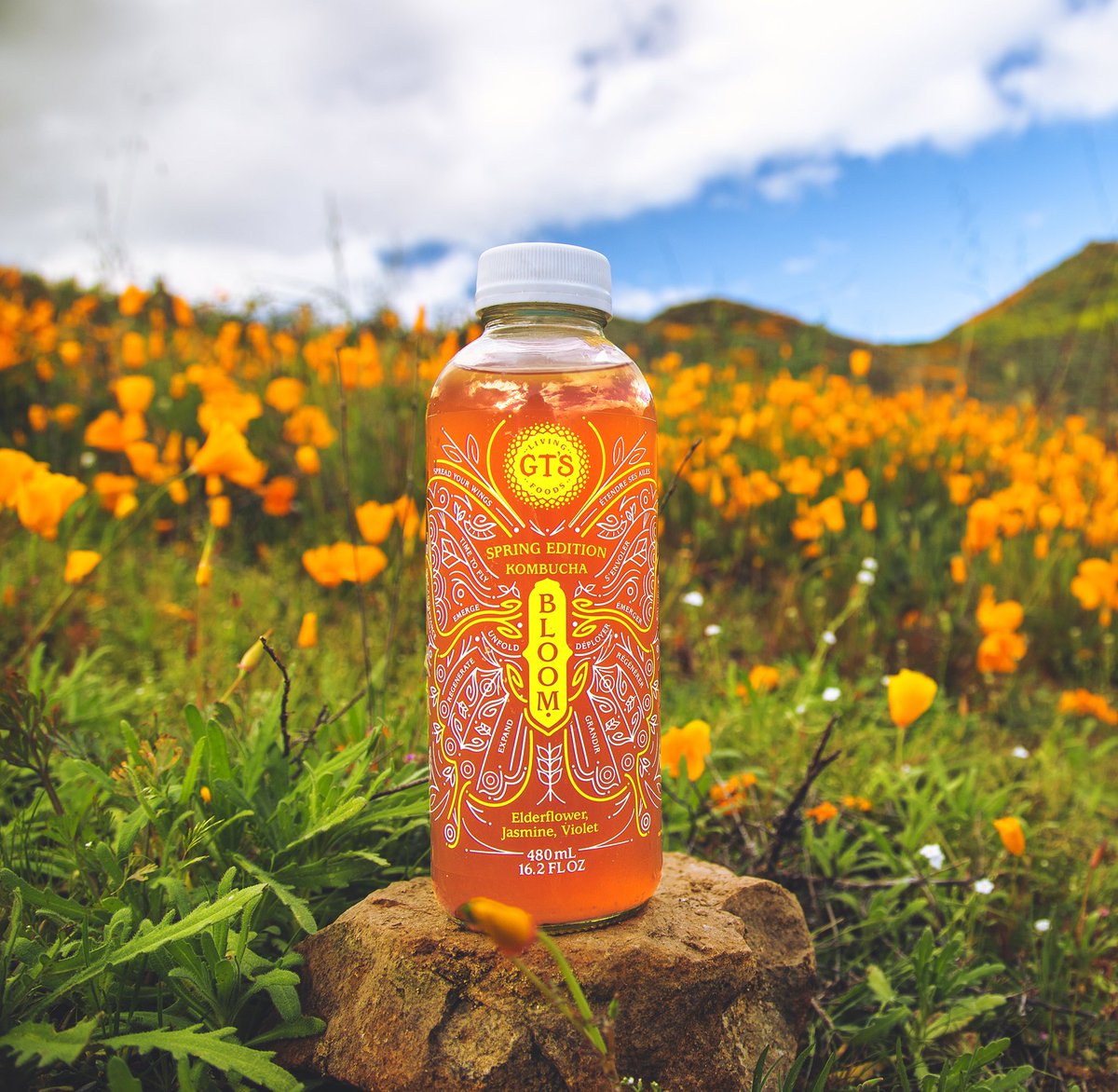 🌼 Allow the earth’s vibrant spirit to elevate your soul with each sip of GT's KOMBUCHA Bloom - our limited edition Spring flavor, delicately crafted with fragrant elderflower, jasmine, and violet. Cheers to #CaliforniaPoppyDay!
