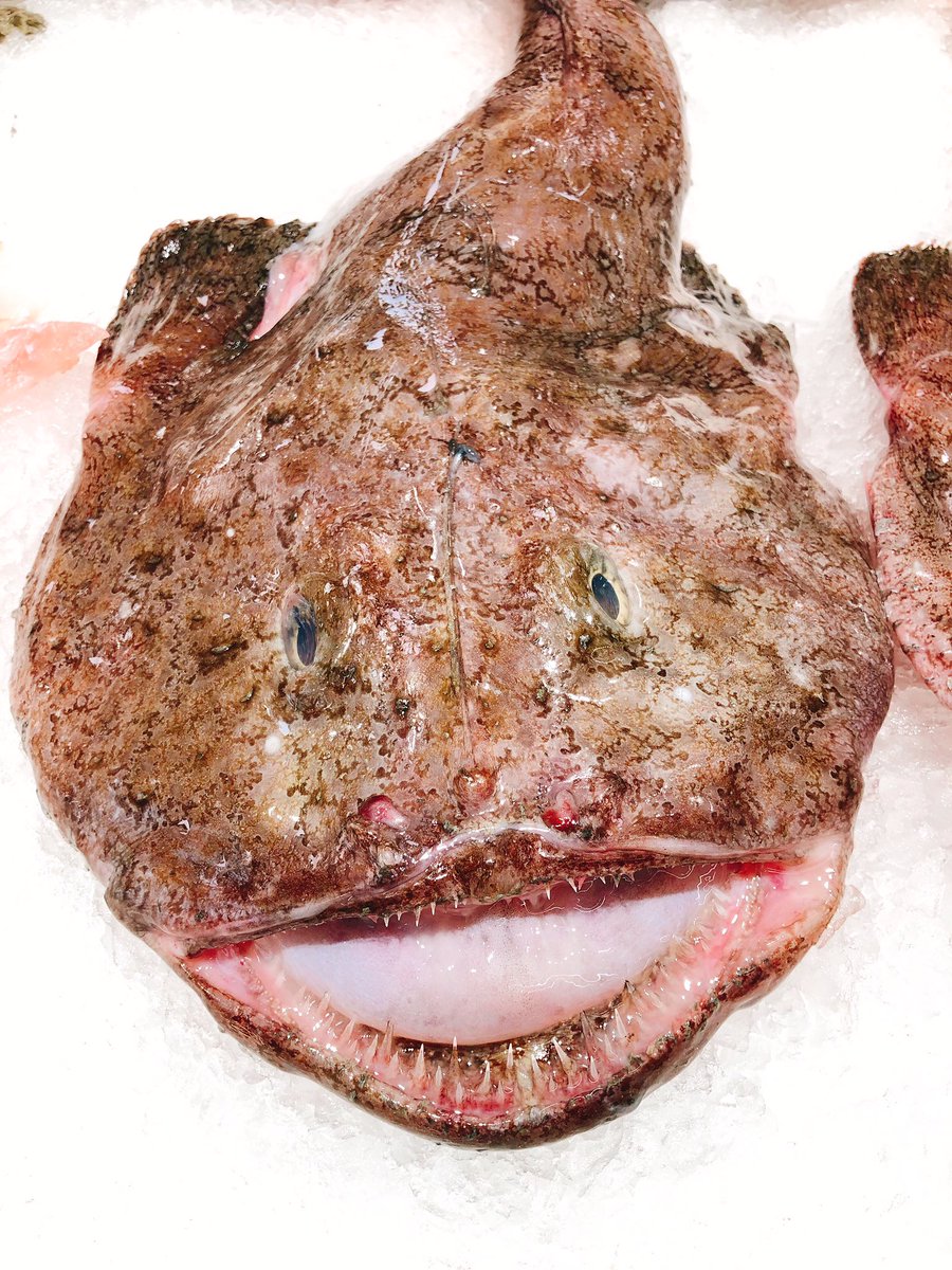 Dime algo que no sepa.