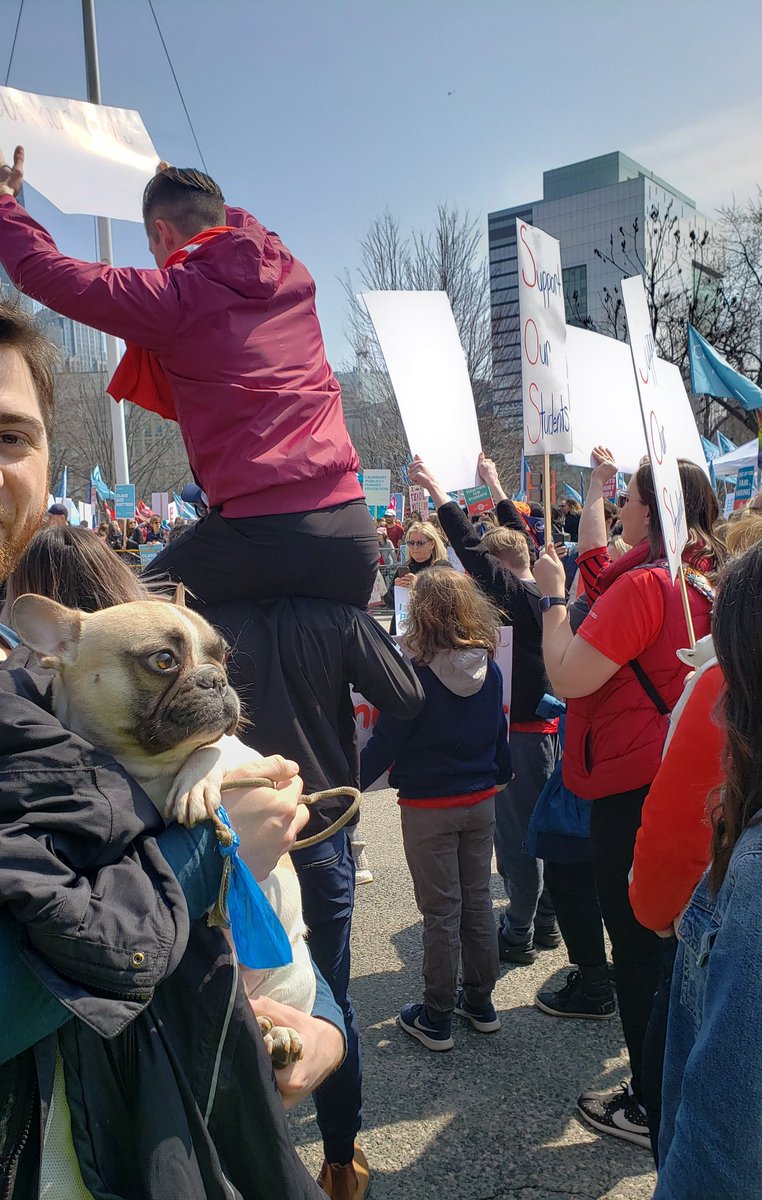 ClaireMcWatt's tweet photo. Today's #cutshurtkids rally was awesome! So great to meet folks all the way from Thunder Bay, and ran into activist Trustee @normsworld! Also brought Mervin to hang with the #protestdogs.
#onpoli https://t.co/cUCXuAqY6s