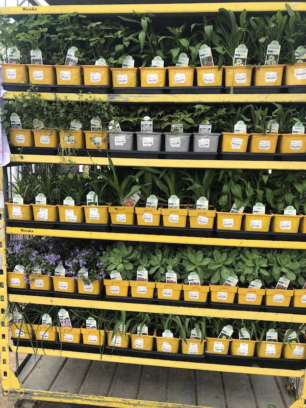 The Barn Nursery tweet media