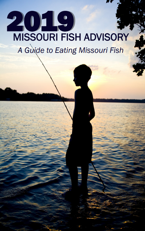 HealthyLivingMo's tweet photo. Do you know if the fish from your favorite fishing hole are good to eat? We have just released our 2019 Fish Advisory! Psst…. it includes some pretty good recipes.  https://t.co/tOcdrJGyHs  #MissouriTracking https://t.co/njPik0HPGh