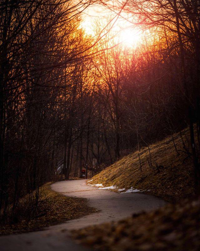 RajmySayavong's tweet photo. Don’t let yesterday use too much of today. - Will Rogers
•
.
.
If you want a really great place for an urban walk, check out Chedoke Radial Trail in Hamilton, Ontario. .
.
.
.
.
📷: Sony A7Riii, Sony 70-200mm f2.8 GM
#depthofearth #earth_shotz #bns_ea… https://t.co/8ZRnz4XrGj https://t.co/MZ6TUXylH3