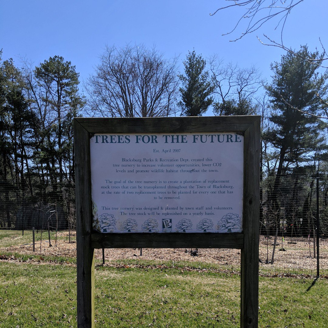 treeha_us's tweet photo. #TREESFORTHEFUTURE. Tow of Blacksburg has a little tree nursery near the rec center where the grow native saplings for local landscaping projects. Good to know our town values the forest and is helping to fill the local canopy with native trees. #SolarDecathlonDesign. https://t.co/D0D9Uj1g3J