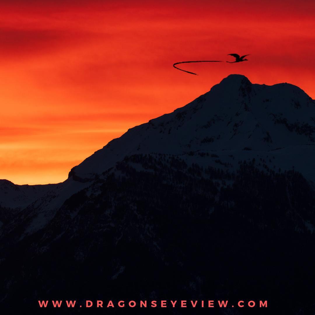 BookwyrmDEV's tweet image. Everything is better with dragons!
Even, possibly, martinadams photos on @unsplash 
unsplash.com/@martinadams