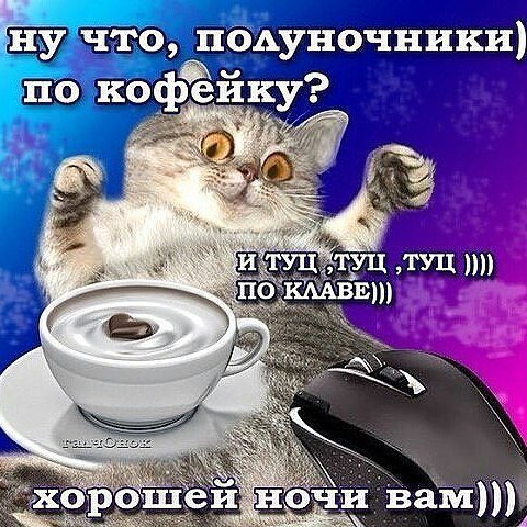 SattaNNec's tweet photo. @gorbunovalina https://t.co/QnJ6BGiX0y