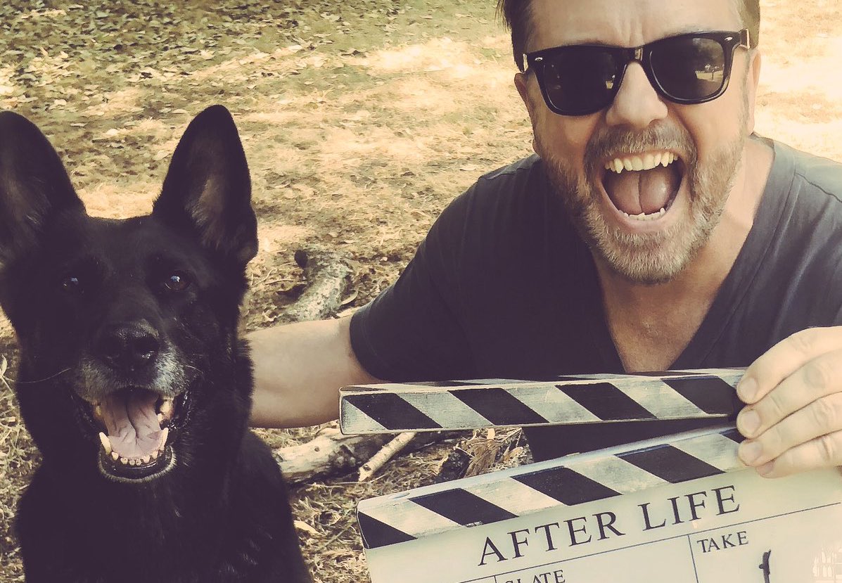 rickygervais's tweet photo. Thanks again for all the love for #AfterLife. The reviews were great but the response from viewers has been fucking amazing. And that means so much more to me.  Oh, and thanks even more for supporting all the animal welfare stuff I bother you with. Best fans in the world. https://t.co/nrZa2YVvA9