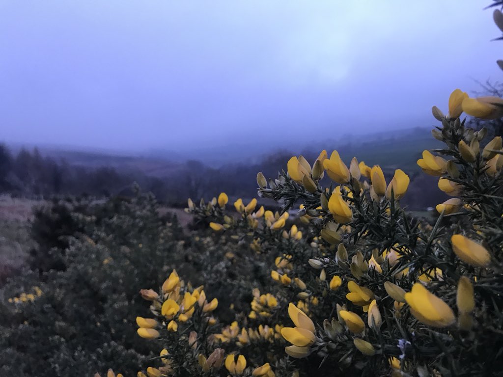 AndrewWappat's tweet photo. Day One of my GCSE Final Push running challenge, at least four miles EVERY day until the Exams. Training for @GNR_NE too, in support of @ProstateUK Hoping Y11s also aim for their big Revision Push, clocking up enough hours. #KeepGoing #MotivationIsTough #ExamTraining https://t.co/rmao15Aaua