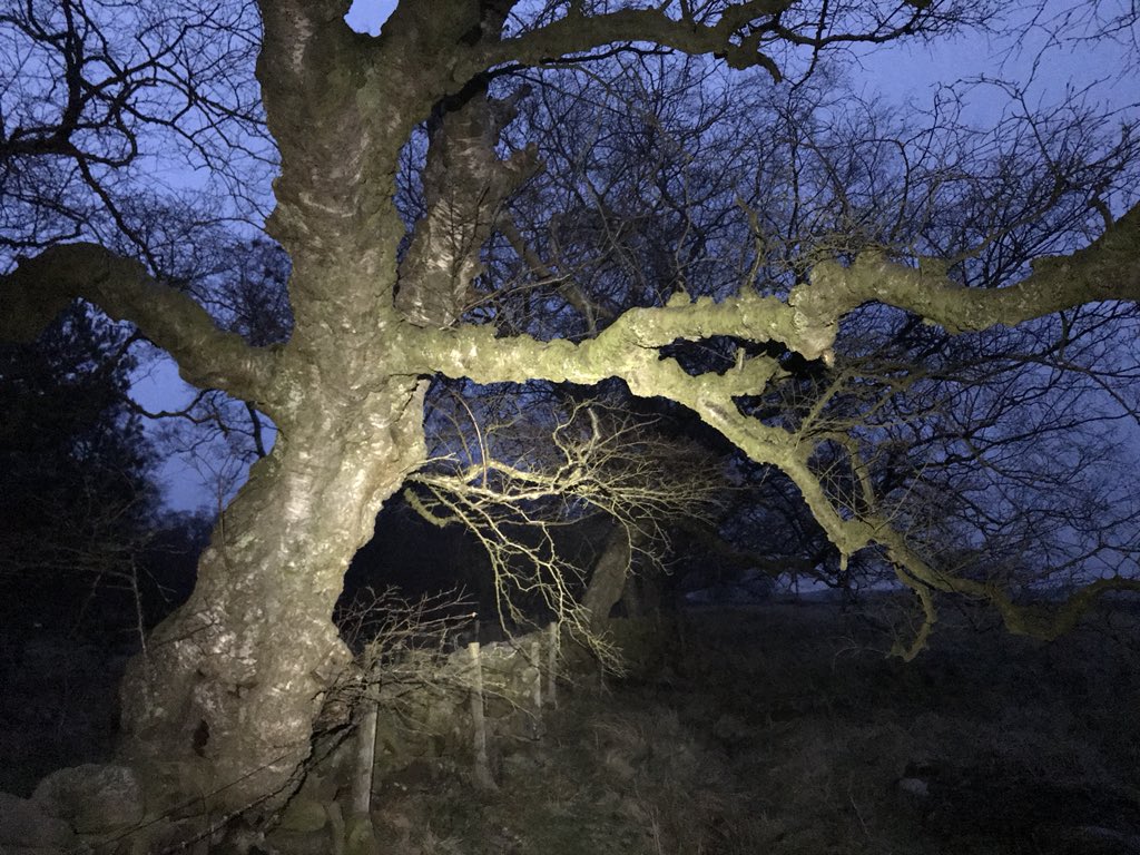 AndrewWappat's tweet photo. Day One of my GCSE Final Push running challenge, at least four miles EVERY day until the Exams. Training for @GNR_NE too, in support of @ProstateUK Hoping Y11s also aim for their big Revision Push, clocking up enough hours. #KeepGoing #MotivationIsTough #ExamTraining https://t.co/rmao15Aaua