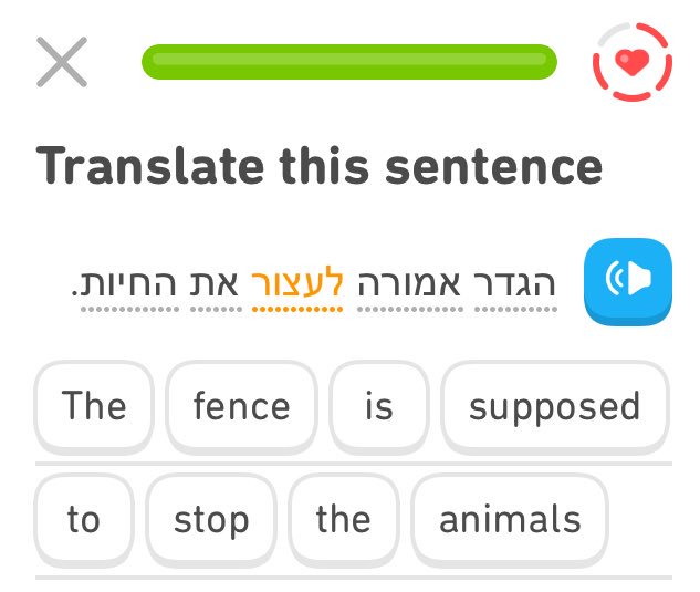 But what if it doesn’t, Duolingo? What happens then?!