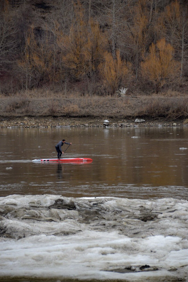 Coffee_Baileys's tweet photo. This was a sight to behold today along the river - When I first spotted him he was paddling west - against the current! Stay safe & dry dude! #yeg #trekthetrails #connectthetrails #rundlepark #paddleboard #yegwx https://t.co/tKkpGMvsb0