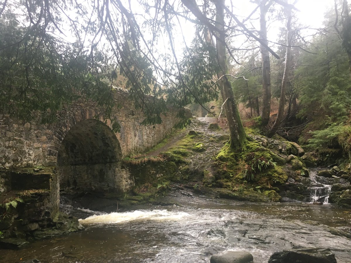 orla_howells's tweet photo. Yesterday’s start to the #GOTterritory fam at the beautiful #TullymoreForest with the amazing Robbie from Game of Thrones Tours! https://t.co/06XAyhx5dq