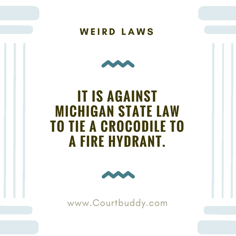 lawchamps's tweet photo. Sorry, but the only crocโs weโve ever seen in Michigan are made by @crocs ...
#roamfree #crocsgonewild #reptiles #Detroit #GrandRapids #Lansing #weirdlaws #interestingfact #factoftheday #legaltech #CourtBuddy #law #LegalForEveryone #affordablelegalservices https://t.co/WesF4Pjd17