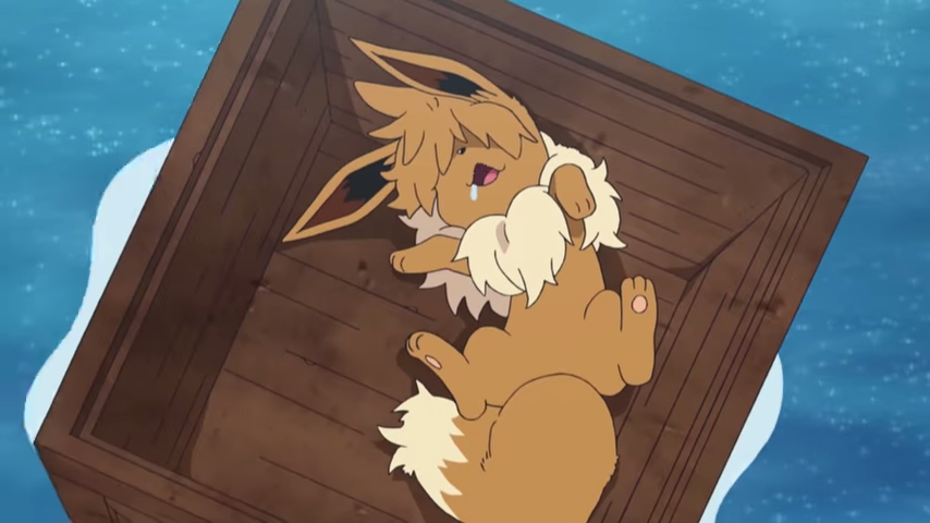 <a href="/Pokemon/">Pokémon</a> <a href="/NayrmanBSC/">Ryan Malis</a> or an Eevee sleeping in a crate in the middle of the ocean 🌊