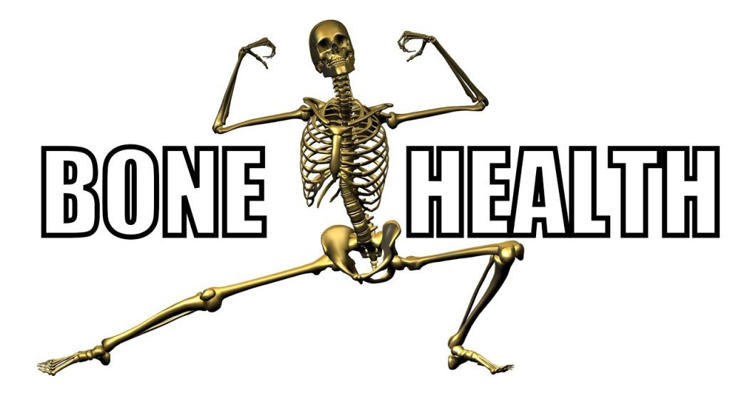 FitProRio's tweet photo. Exercise for Your Bone Health https://t.co/m6md2IdcMM https://t.co/HVxMtyZ1ng