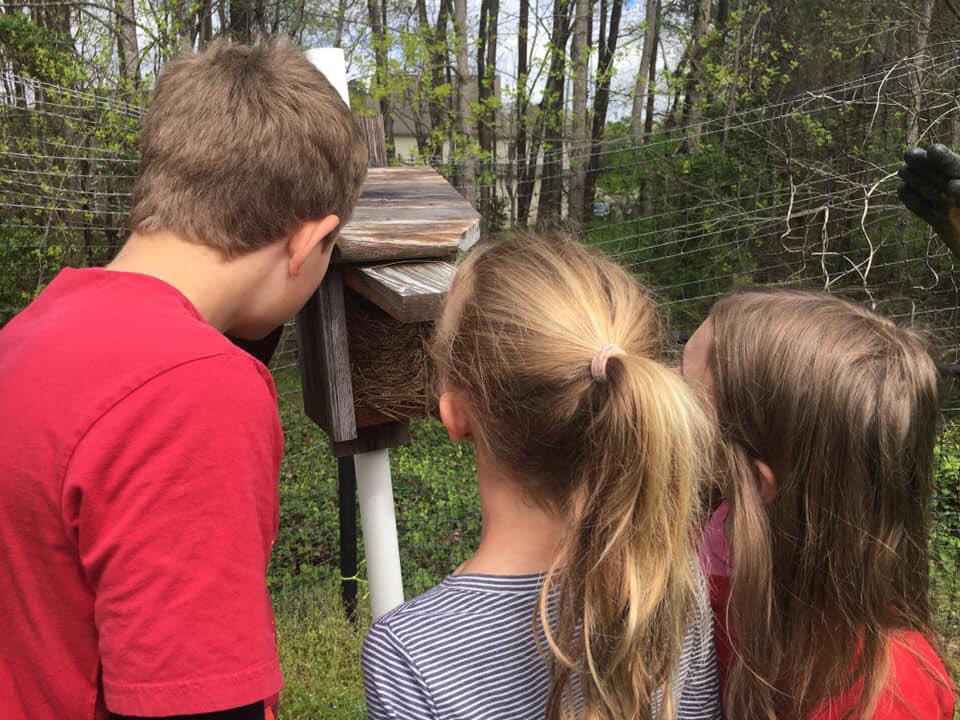 Our students had a blast working and exploring in the Outdoor Classroom!  Look what they found...<a href="/MiddleCreekES/">Middle Creek ES</a> <a href="/CFletcherMiller/">Caroline Miller</a> #schoolgardens