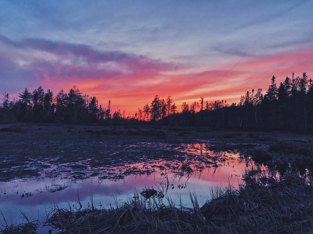 PureMichigan's tweet photo. Can you paint with all the colors of a #PureMichigan sunset? 🎨

📸: Instagram fan fastjamess in Paradise, MI #uptravel @UPTravel https://t.co/Tiv6MhfVrJ