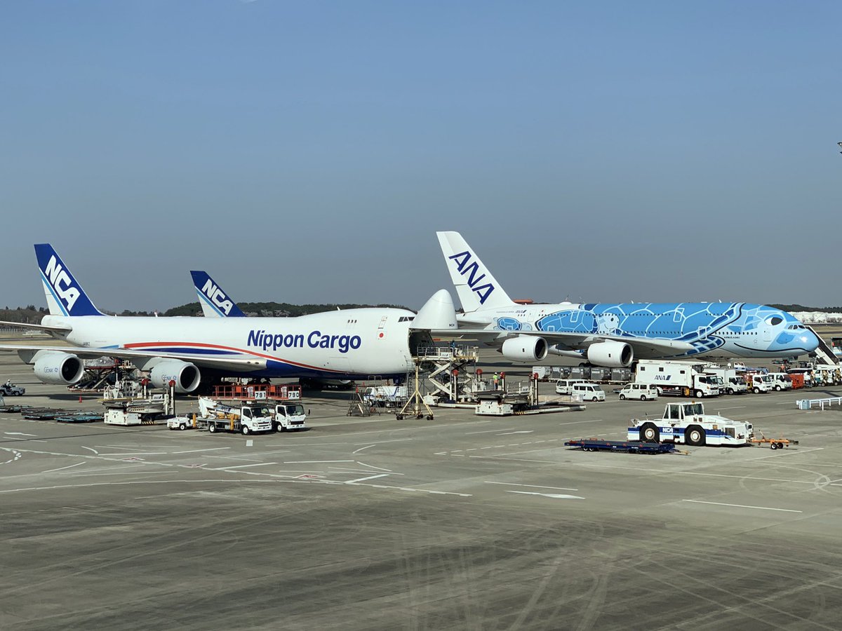 747400Pilot's tweet photo. So much avgeek goodness in this pic taken yesterday at Tokyo Narita. NCA 747-8 taking a new load of cargo while the brand new ANA A380 sits waiting its entry into service. That livery almost makes the A380 look good! Almost... #AvGeek https://t.co/uMzGaski4V