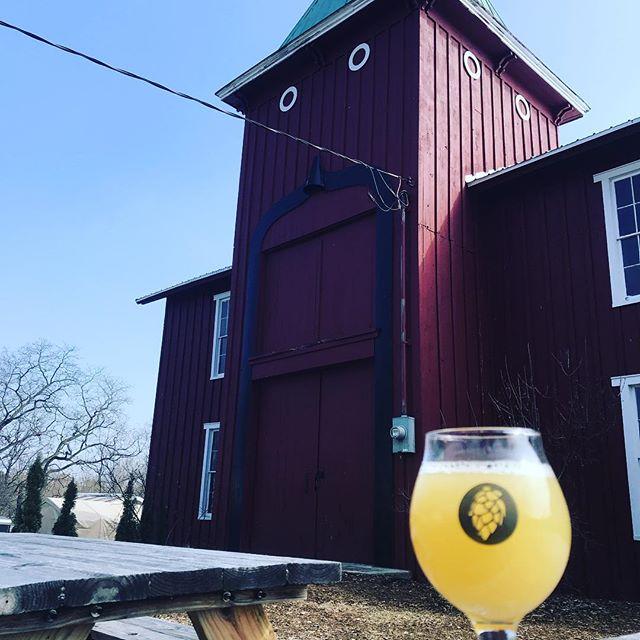 Come have a Radler in the sun!! The Nordic Fjord IPA is a ridiculously smooth, dry hopped whey beer. Perfect for crawling out of the cabin this spring! #hoponbwb