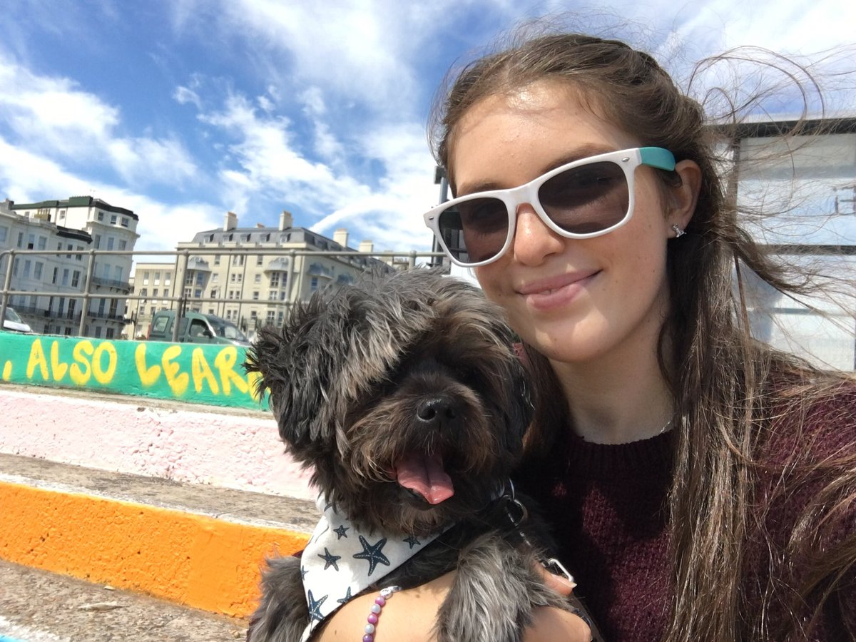 co_tommi's tweet photo. We finally have Twitter! 

Tommi Co. is a small business owned by a girl and her dog that provides handmade creations for you and your furbaby. 

We’re super excited for our relaunch on 1st May - save the date! 🙊 https://t.co/KTX1WEjQ3a