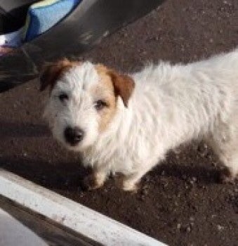 Stanfordonsoar Hashtag On Twitter