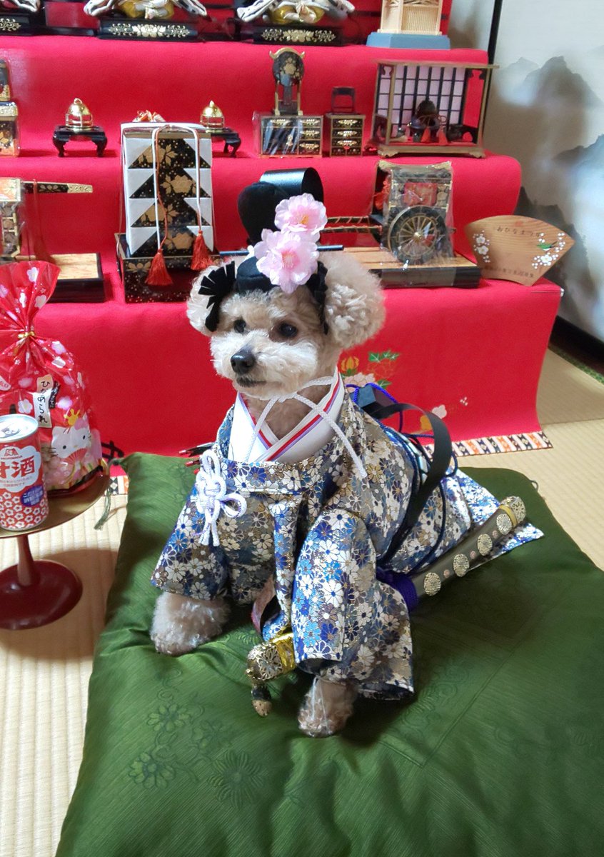 erurinko1's tweet photo. サムのものを作るのが好き(^^*)
男の子だけど、女の子ものも着てもらってる。
平安ぽいのが多め。 https://t.co/qlSkwufGoy