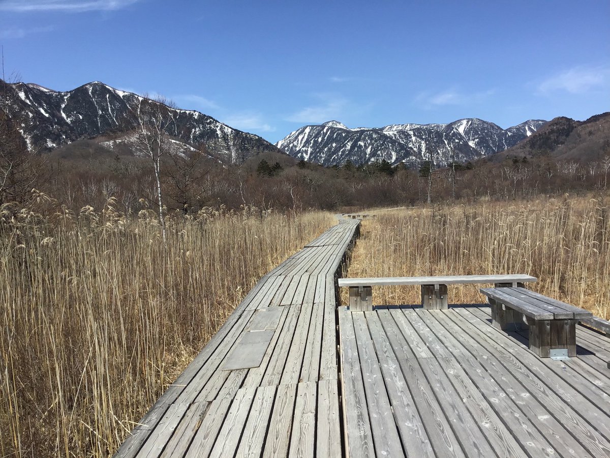 Sullivans07's tweet photo. 4月5日(金) 栃木県・日光
戦場ヶ原
#日光旅行記  #旅行好きな人と繋がりたい https://t.co/6wQ0lWKL6d