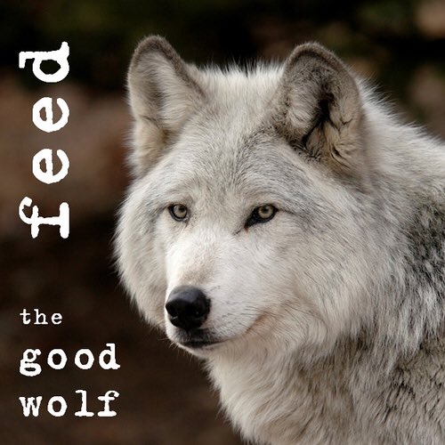 Laid on the ground in the kids room after bedtime tonight. Recapped good wolf, bad wolf story and had a long talk about it. As I walk out Viv says: “that was a lot fun, I like talking about good and bad.” #FamilyTalks