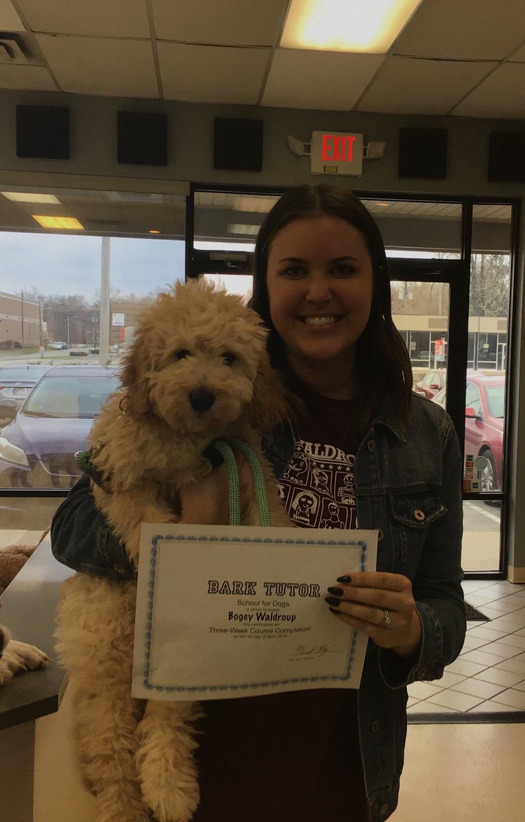 BarkTutor's tweet image. There is nothing better than proud dog / puppy owners. They can now check ✔️ “graduate” off the list 🎓#BarkTutor