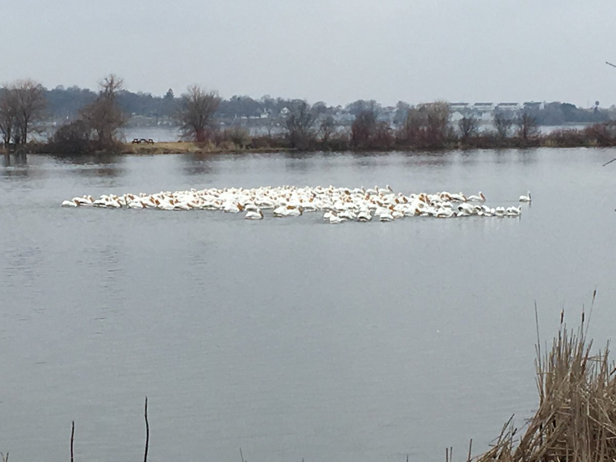 Delavan Lake Resort tweet media