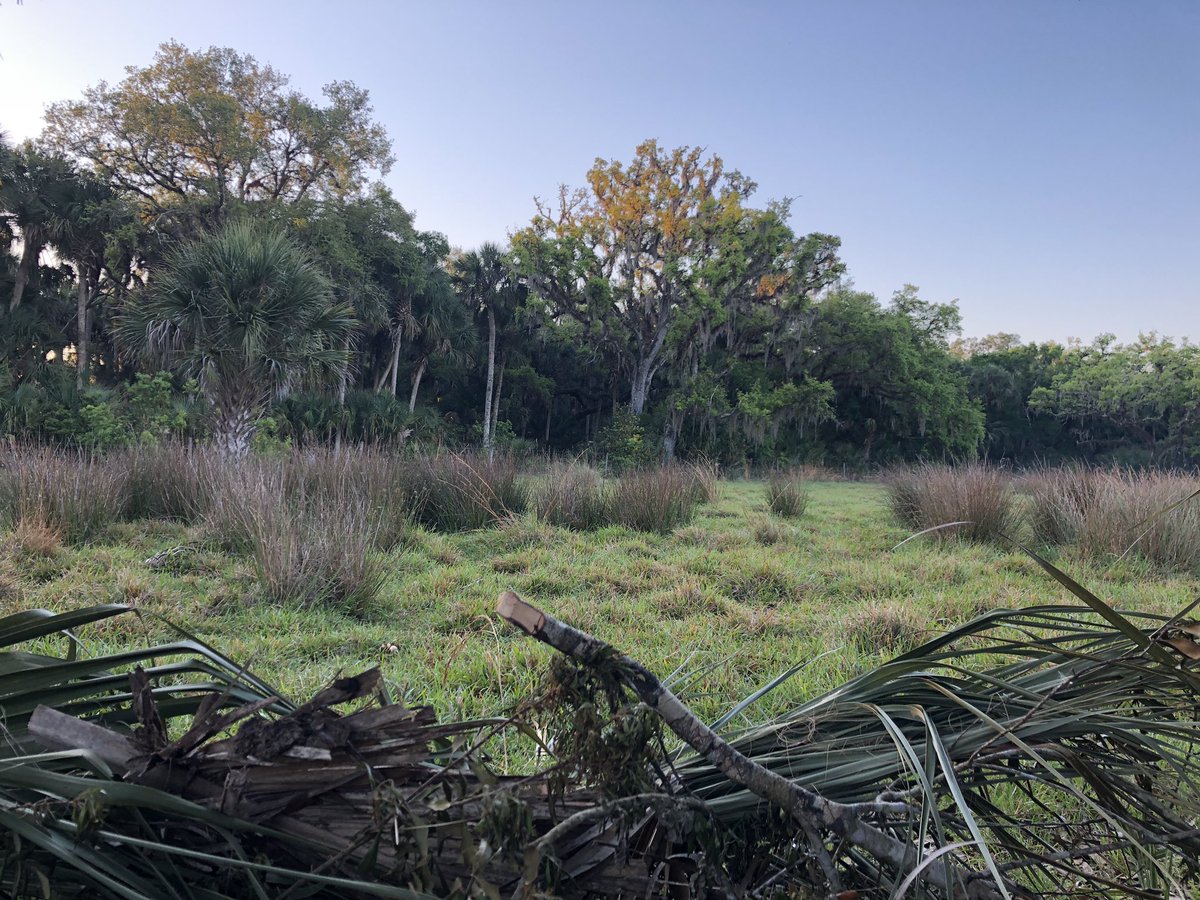 TheVacationDR's tweet image. Today is what we call the Central Florida #SpringSlam We woke up in the morning at #TaylorCreek chasing #Osceola #Gobblers  and then in the afternoon we jumped on #TheHunter and put it on the #Cobia @paioutdoors #EHGTribe #Blessed