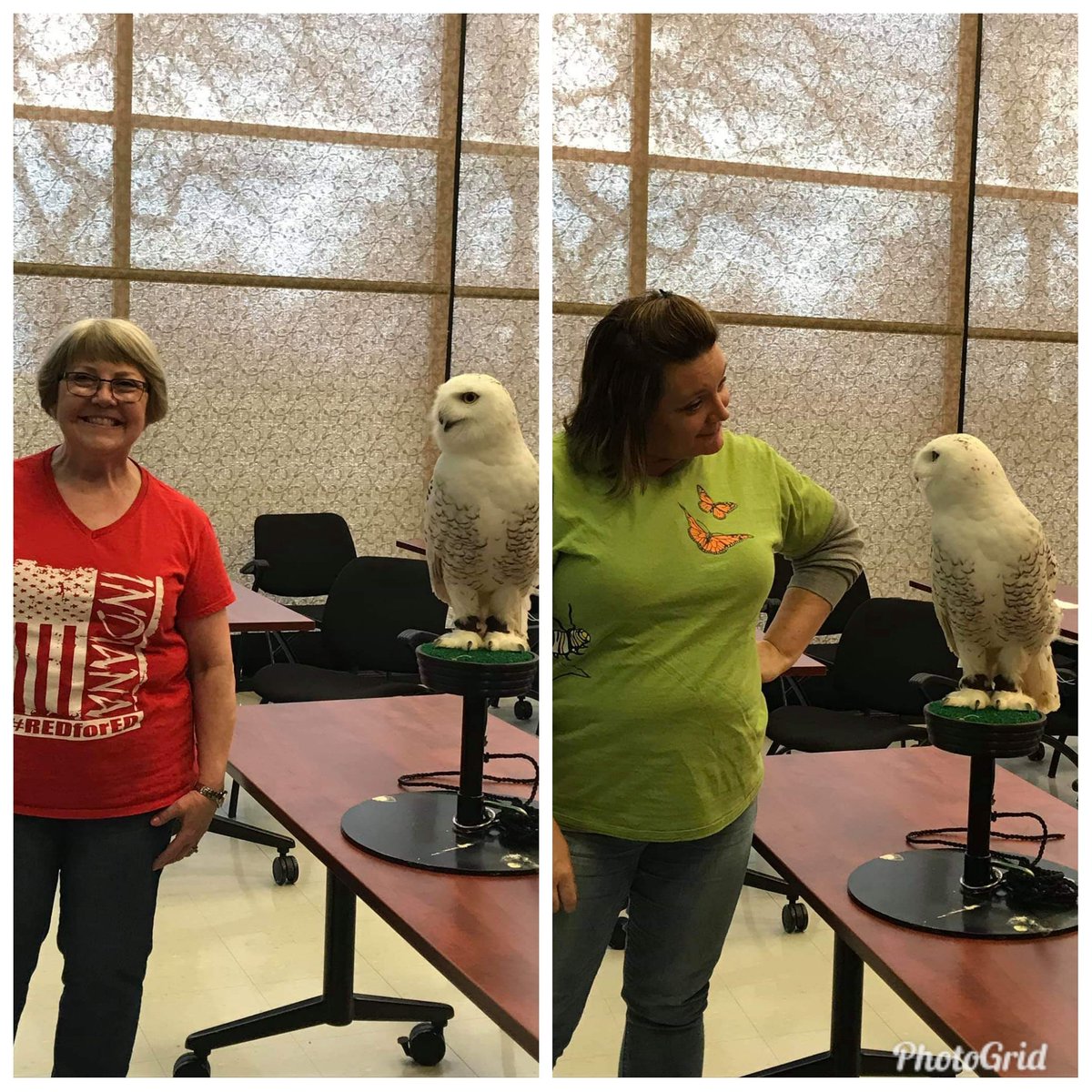 scecjwillman's tweet photo. Teachers love learning about the environment and all the resources available  to them.  Thank you @DunesLearning @ArcelorMittalUS @humaneindiana @FieldMuseum for the wonderful experience. #sceck12 @ECMcKCardinals https://t.co/6THahj7P9l