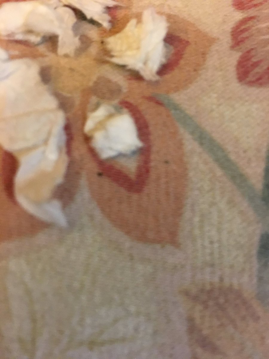 paulgresham3's tweet image. Only tissues bleed...