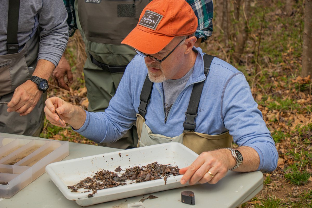 ENC_TU's tweet photo. Today, the Ernie Nester Chapter of Trout Unlimited (@ENC_TU) conducted a Save Our Streams (SOS) analysis on Loop Creek in Fayette County. Participants learned about the creek's quality and characteristics and examined insects, habitat, and also the chemistry of the stream. #enctu https://t.co/00r3LlRsEu