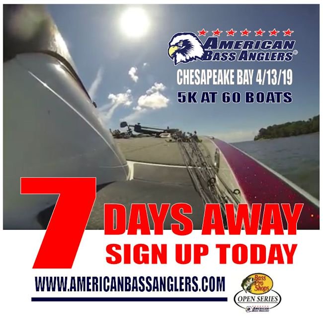 melvinsmitson's tweet photo. Chesapeake Bay Fishing Tournament 👍👍
Online Sign Up: https://t.co/Ce3GZkTNIj
#fishing #fishinglife #bassin #bassfishing #basspro #abaopenseries #fishingtournament #boaters #coanglers #like #retweet https://t.co/2n3WNBmMFi