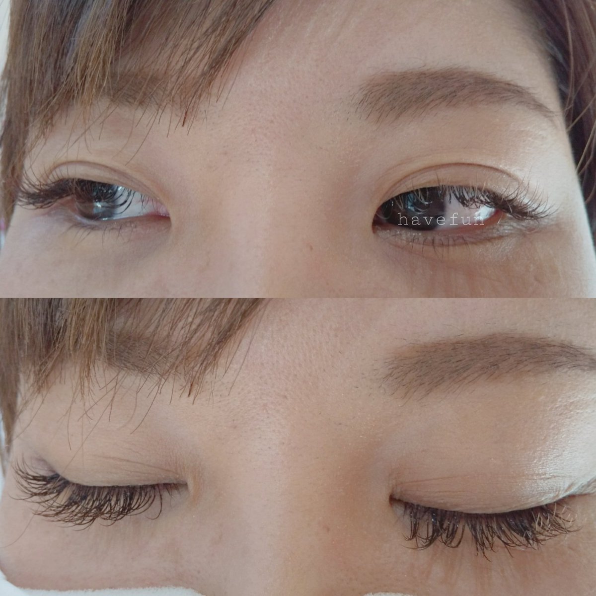 Havefun Eyelash Eyelashhavefun Twitter Havefun Eyelash Eyelashhavefun Twitter