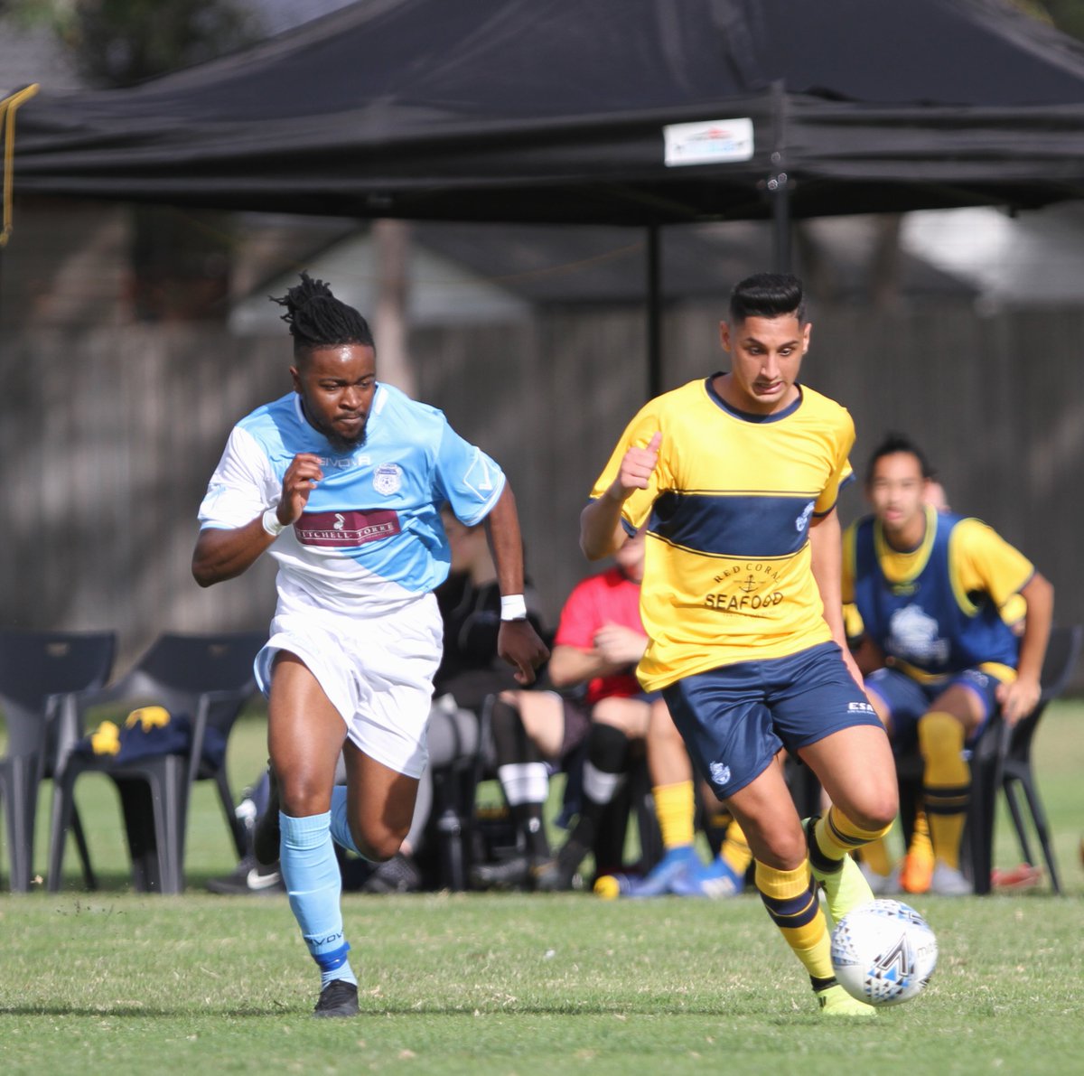 <a href="/whitehorseSC/">Whitehorse United</a> in their season opener defeated Frankston Pines 2-1 <a href="/footballvic/">Football Victoria</a>