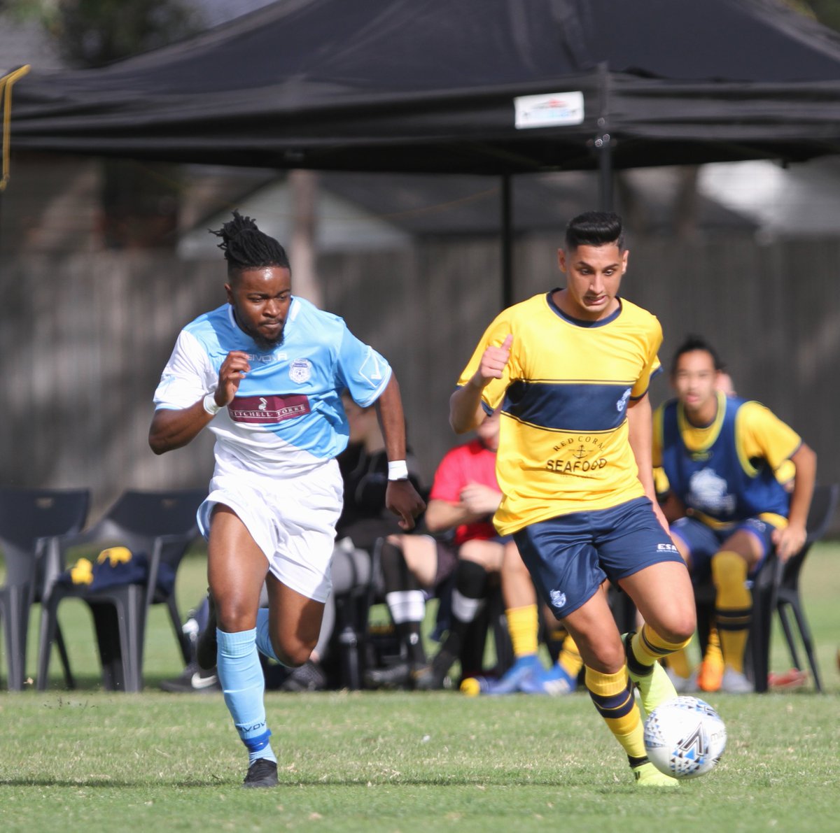 @whitehorseSC in their season opener defeated Frankston Pines 2-1 @footballvic