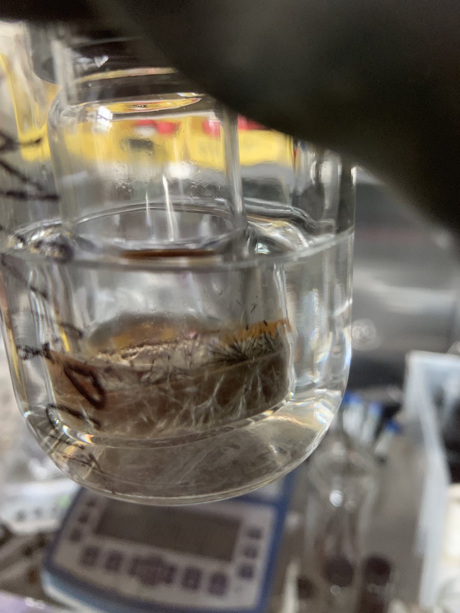 Waiting for my baby crystal.👀👀