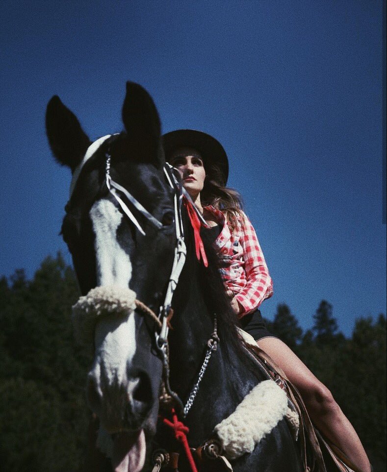 archiveDM85's tweet photo. Horse 🐴 https://t.co/e02XU5GBVb