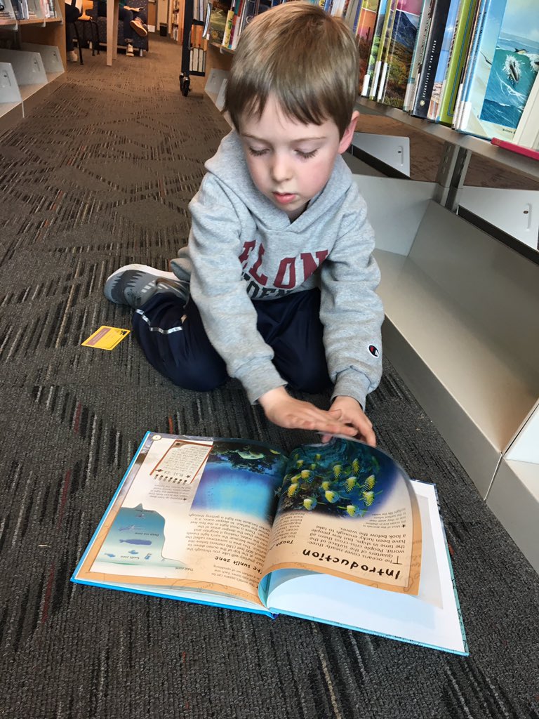 GridleyDaniel's tweet photo. π₯ Shout Out to @MrsJenkins_PreK for instilling the β€οΈ of books to my 4 YO! π₯
Thank you @GreenESLeaders for your amazing educators and their daily work to grow all kids!
@GreenPTA @lbrscully1
#preKcan https://t.co/P8sC7pR6Pc