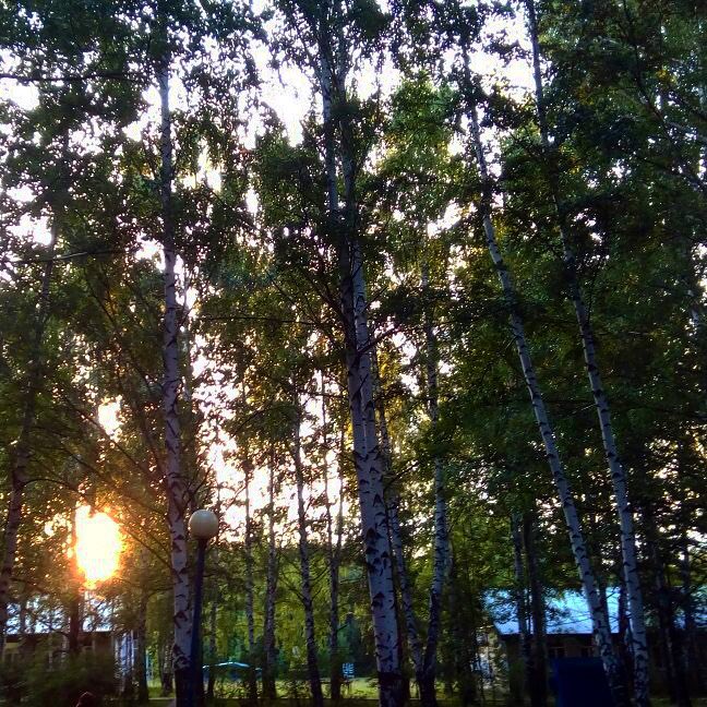 _Lina_Ram_'s tweet photo. Просто любить его всем сердцем🖤 https://t.co/VXuc7PMv7G