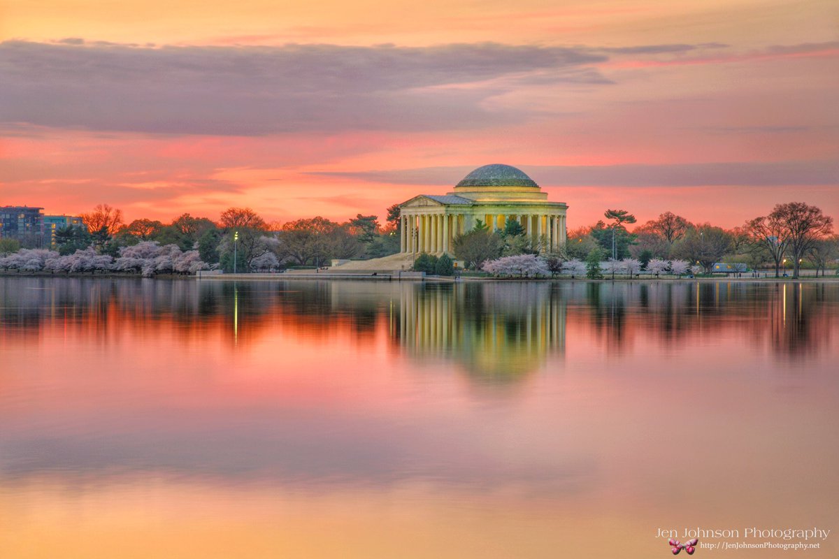 tPFmariah9999's tweet photo. Incredible Pink Sky #Sunrise &amp; #CherryBlossoms at the Jefferson Memorial in Washington, DC @spann #dcblooms #cherryblossom #peakbloom #dcwx #washingtondc https://t.co/L3ctosPQiC