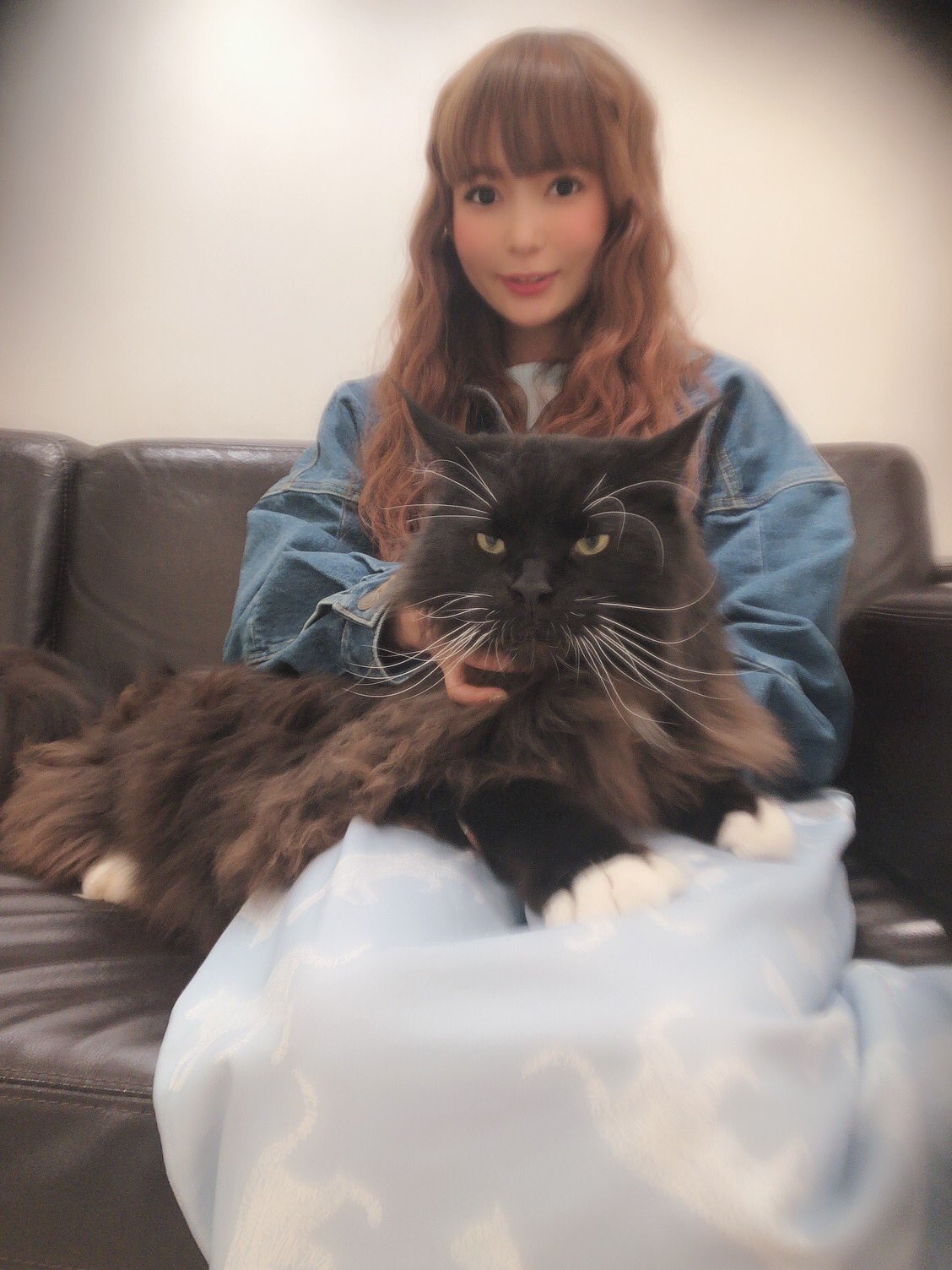 周年の中川翔子 メインクーン でかい びっくり メポの4倍くらいでかかった T Co Sv9ybzo8pf Twitter