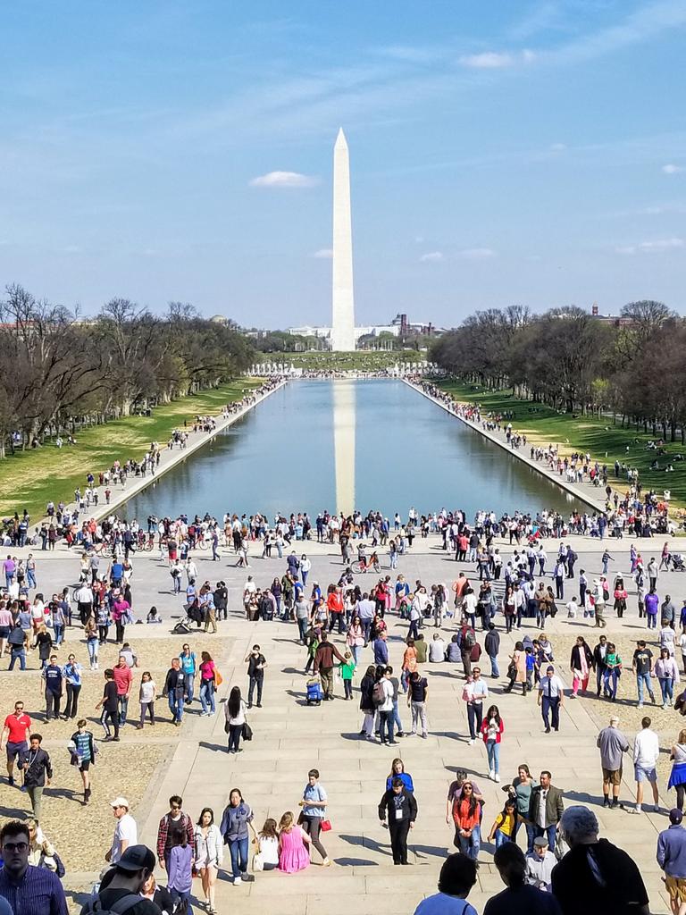 Mr. Roth's Science Class tweet media